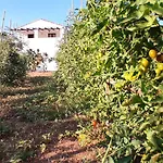 Cort'e Nastasj Hotel Tertenìa