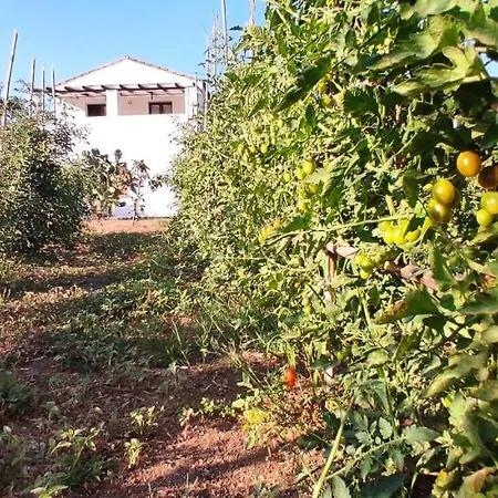 Cort'e Nastasj Hotel Tertenia