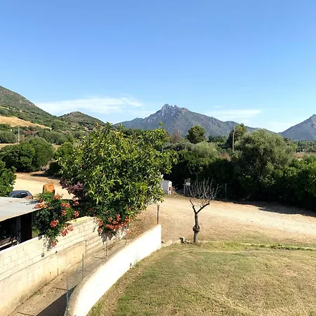 Cort'e Nastasj Tertenia