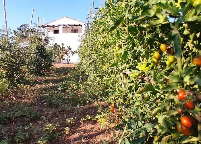 Cort'e Nastasj Hotel Tertenìa