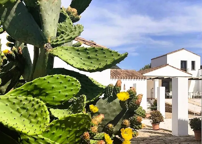 Cort'e Nastasj Hotel 3*