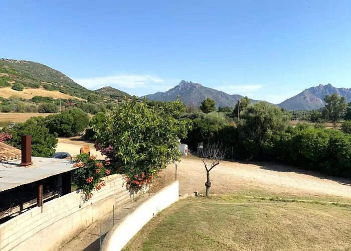 Cort'e Nastasj Tertenìa